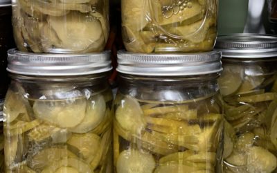 Grandmama’s Sweet pickle recipe